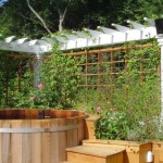 pergola-05