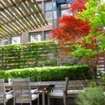 pergola-01