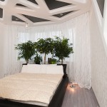 ficus03